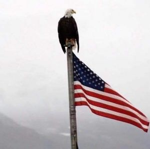 Meet your Posher, Tommy